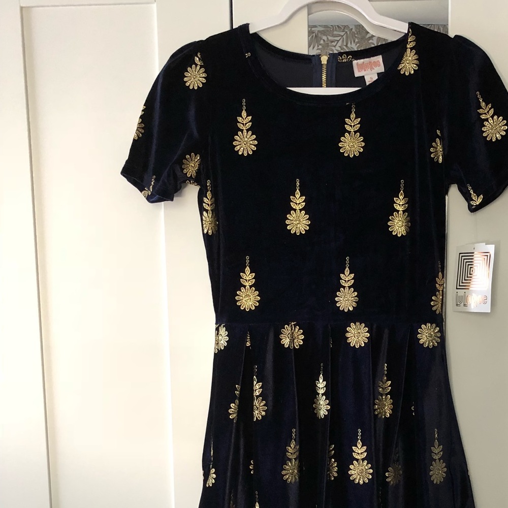 Elegant Velvet Amelia Dress